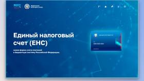Блокировка ФНС по ЕНС: что это в Tupperware