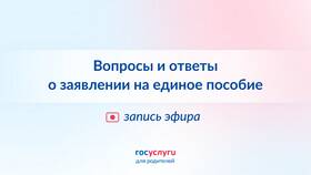Что писать в графе 
