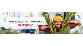 Что включает страховка квартиры в Tupperware