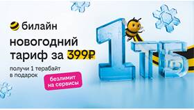 Как пополнить интернет-трафик на Билайн в Tupperware