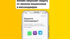 Как разблокировать Билайн