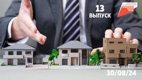 Виды имущественной собственности