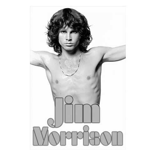 Постер СТ-Диалог Jim Morrison, МУЗ-314, бумага, 40х60 см в Tupperware